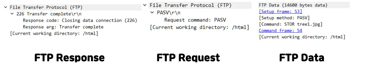 FTP 분석