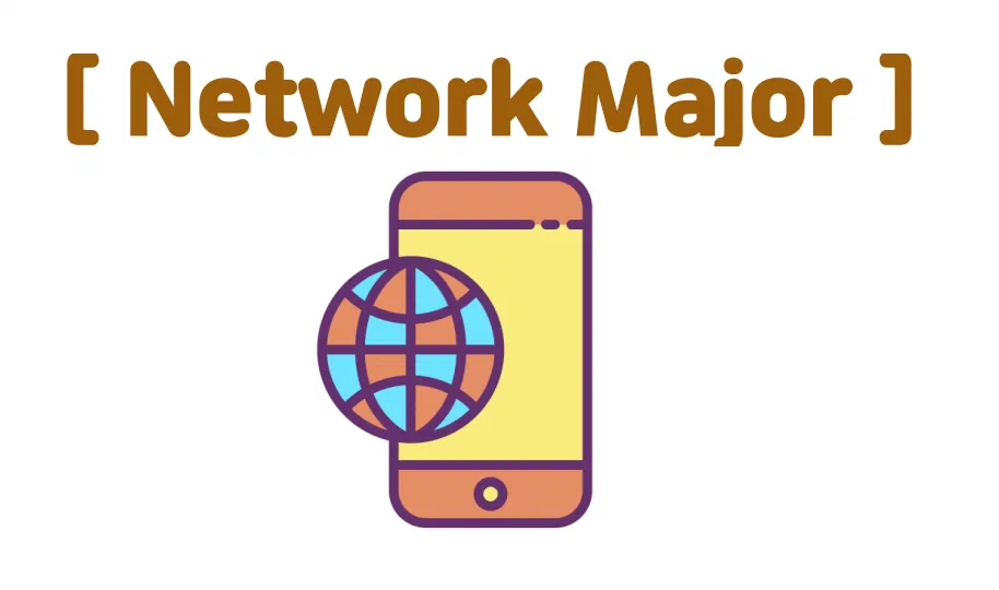Network Major